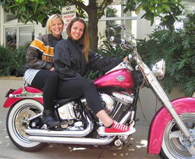 Wild Ride Harley And Motorcycle Tours - Attractions Perth 0