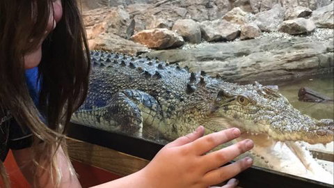 Canberra Reptile Zoo - Attractions Perth 3
