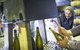 Quealy Winemakers - thumb 5
