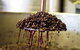 Quealy Winemakers - thumb 6
