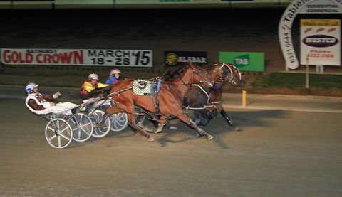 Bathurst Harness Racing Club - Attractions Perth 3
