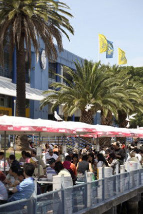 Sydneys Fish Market - Attractions Perth 1