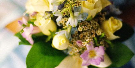 Glasshouse Shopping Centre - Attractions Perth 1