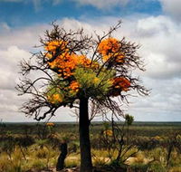 The Delmar Gallery - Attractions Perth
