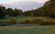Penrith Golf And Recreation Club - thumb 1