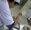 Fremantle Chocolate Pty ltd - Attractions Perth