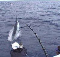 Amokura Charters - Attractions Perth