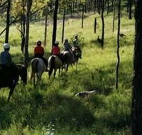 Hunter Valley Horse Riding and Adventures - Attractions Perth