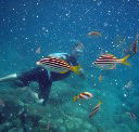 Imagine Cruises - Attractions Perth