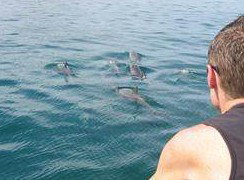 Tex Tours - Attractions Perth 3