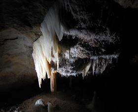 Country Charmâ„¢ Discovery Tours - Attractions Perth 1