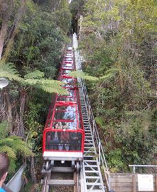 Country Charmâ„¢ Discovery Tours - Attractions Perth 6