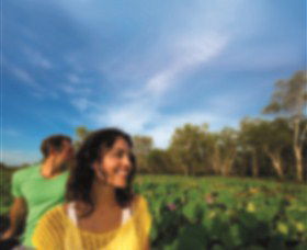 AAT Kings Guided Tours (Top End) - Attractions Perth 3