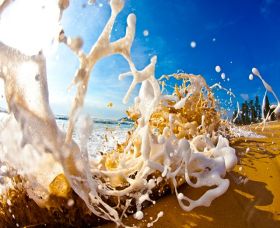 Saltmotion Gallery - Attractions Perth 1