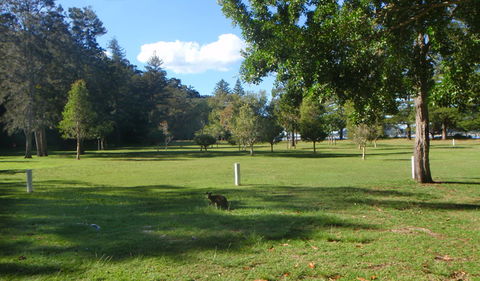 The Basin Picnic Area - Attractions Perth 1