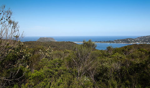 Aboriginal Heritage Walk - Attractions Perth 1