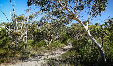 Aboriginal Heritage Walk - Attractions Perth 2