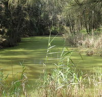 Second Ponds Creek walk - Attractions Perth