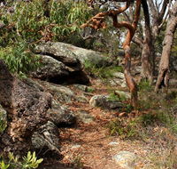 Box Head track - Attractions Perth