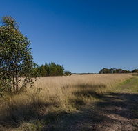 Scheyville horse riding trails - Attractions Perth