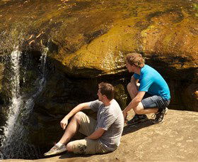 Georges River Nature Reserve - Attractions Perth 3