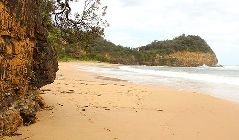 Bouddi Coastal Walk - Attractions Perth 1