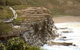 Bouddi Coastal Walk - thumb 0