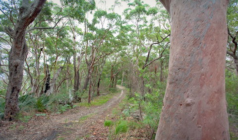 Strom Loop - Attractions Perth 3