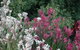 Mt Penang Gardens - thumb 1