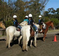 Darkes Forest Riding Ranch - Attractions Perth