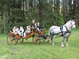 Hendon SA Attractions Perth