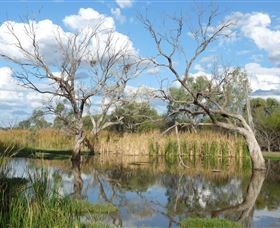 Lagoon Creek - Attractions Perth 0