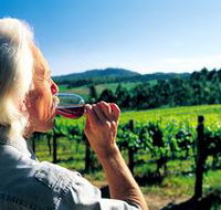 Ashton Hills Vineyard - Attractions Perth