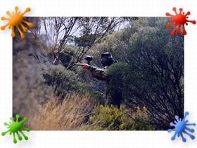 Paintball Skirmish SA - Attractions Perth 2