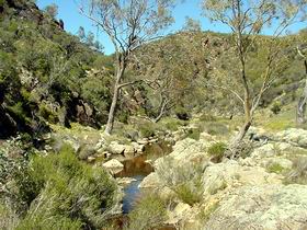 Saunders Gorge Sanctuary - Attractions Perth 1
