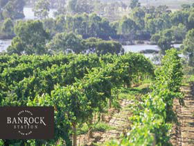 Banrock Station Wine And Wetland Centre - Attractions Perth 0