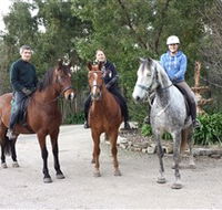 Academy of Dressage - Attractions Perth