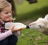 Hahndorf Farm Barn - Attractions Perth