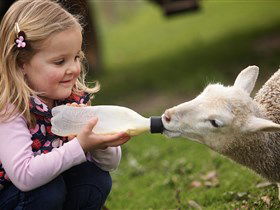 Hahndorf Farm Barn - Attractions Perth 0