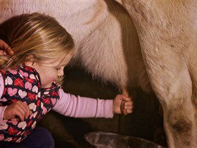 Hahndorf Farm Barn - Attractions Perth 1