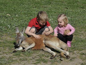 Hahndorf Farm Barn - Attractions Perth 3