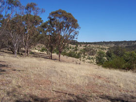Onkaparinga River National Park - Attractions Perth 0