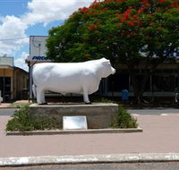 Aramac - The White Bull - Attractions Perth