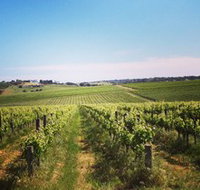 Adelaide Winemakers - Attractions Perth