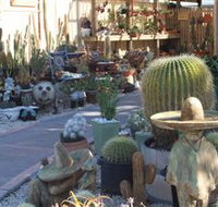 Cactus Creations - Attractions Perth