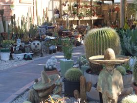 Cactus Creations - Attractions Perth 0