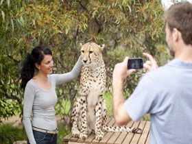 Monarto Open Range Zoo - Attractions Perth 1