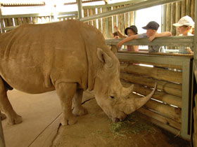 Monarto Open Range Zoo - Attractions Perth 2