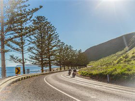 Lady Bay Beach - Attractions Perth 2