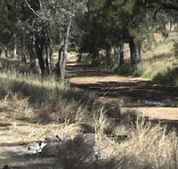 Chudleigh Park Gem Fields - Attractions Perth